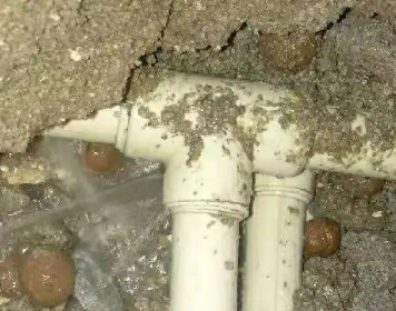 四会测漏水多少钱