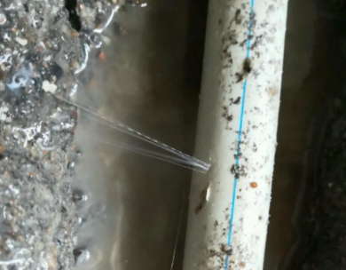 四会测漏水哪家好