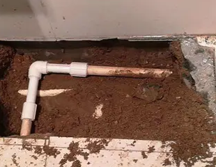 四会测漏水哪家好