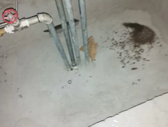 四会卫生间测漏水价格明细