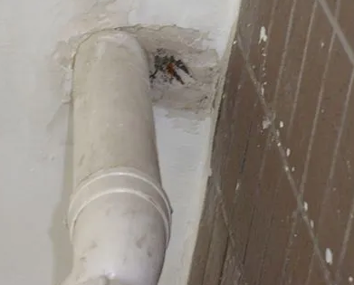 四会漏水检测哪家好